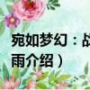 宛如夢幻：戰國風雨（關于宛如夢幻：戰國風雨介紹）