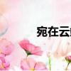 宛在云端（關于宛在云端介紹）
