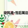 定風波·雪后籬邊冷未晴（關于定風波·雪后籬邊冷未晴介紹）