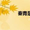 秦青是什么意思（秦青解釋）