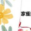 家雀的意思（家雀的介紹）