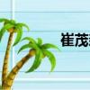 崔茂森（關于崔茂森簡介）