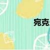 宛克炎（關于宛克炎介紹）