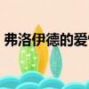 弗洛伊德的愛情（關于弗洛伊德的愛情介紹）