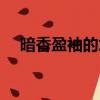 暗香盈袖的意思（暗香盈袖指的是什么）