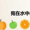 宛在水中央（關于宛在水中央介紹）