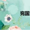 宛國文（關于宛國文介紹）