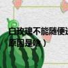 白玫瑰不能隨便送人的原因是什么（白玫瑰不能隨便送人的原因是啥）