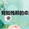 宛如殘酷的命運（關于宛如殘酷的命運介紹）