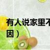 有人說家里不能養文竹（家里不能養文竹的原因）