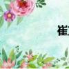 崔茂（關于崔茂簡介）