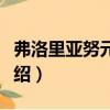 弗洛里亞努元帥鎮（關于弗洛里亞努元帥鎮介紹）