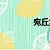 宛丘集（關于宛丘集介紹）