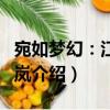 宛如夢幻：江戶煙嵐（關于宛如夢幻：江戶煙嵐介紹）