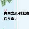 弗朗索瓦·維勒魯瓦·德加約（關于弗朗索瓦·維勒魯瓦·德加約介紹）