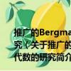 推廣的Bergman空間上Toeplitz算子及生成的C*-代數的研究（關于推廣的Bergman空間上Toeplitz算子及生成的C*-代數的研究簡介）