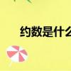 約數是什么意思（約數的含義是什么）