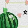 文胸是啥（文胸介紹）