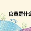 官宣是什么梗（網絡語官宣什么意思）