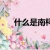什么是南柯一夢（南柯一夢意思介紹）