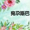 宛尕斯巴巴（關于宛尕斯巴巴介紹）