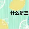 什么是三個代表（三個代表的介紹）