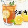 宛葉古道（關于宛葉古道介紹）