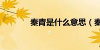 秦青是什么意思(秦青解釋)