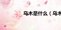 烏木是什么(烏木介紹)