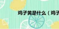 雞子黃是什么(雞子黃是啥)