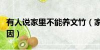 有人說家里不能養文竹(家里不能養文竹的原因)