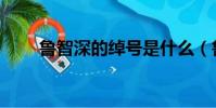 魯智深的綽號是什么(魯智深簡介)