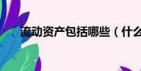 流動資產包括哪些(什么是流動資產)