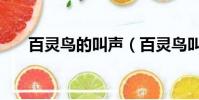 百靈鳥的叫聲(百靈鳥叫聲怎么形容)