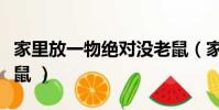 家里放一物絕對沒老鼠(家里放什么絕對沒老鼠 )
