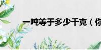 一噸等于多少千克(你了解了嗎)