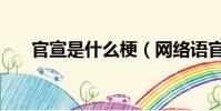 官宣是什么梗(網絡語官宣什么意思)