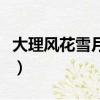 大理風花雪月什么意思（大理風花雪月的含義）