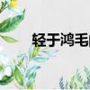 輕于鴻毛的鴻毛（輕于鴻毛的意思）
