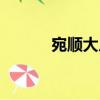 宛順大人（關于宛順大人介紹）