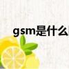 gsm是什么網絡（gsm是什么網絡類型）