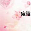 宛陵帖（關于宛陵帖介紹）
