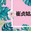 崔貞姑廟（關于崔貞姑廟簡介）
