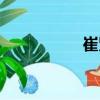 崔賢（關于崔賢簡介）