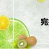 宛折（關于宛折介紹）