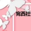 宛西社區（關于宛西社區介紹）