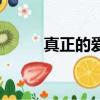 真正的愛情是什么（什么是愛情）