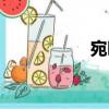 宛暍（關于宛暍介紹）