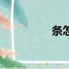 條怎么組詞（條的詞語）