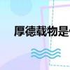 厚德載物是什么意思啊（厚德載物解釋）